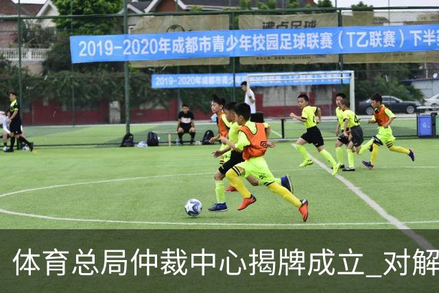 体育总局仲裁中心揭牌成立 对解决足球纠纷有益