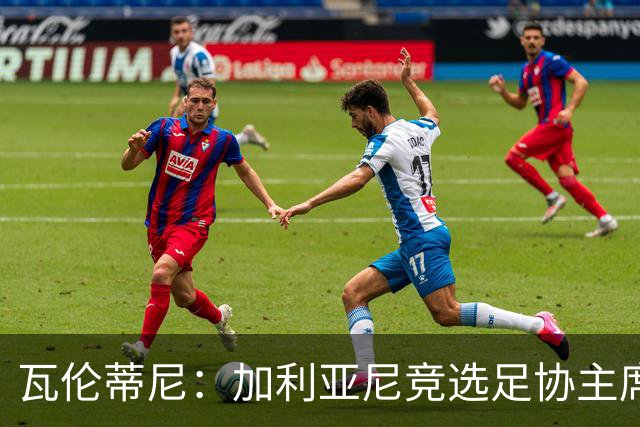 瓦伦蒂尼：加利亚尼竞选足协主席，意甲内部存在分裂